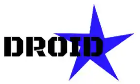 dr3idstar-logo.webp