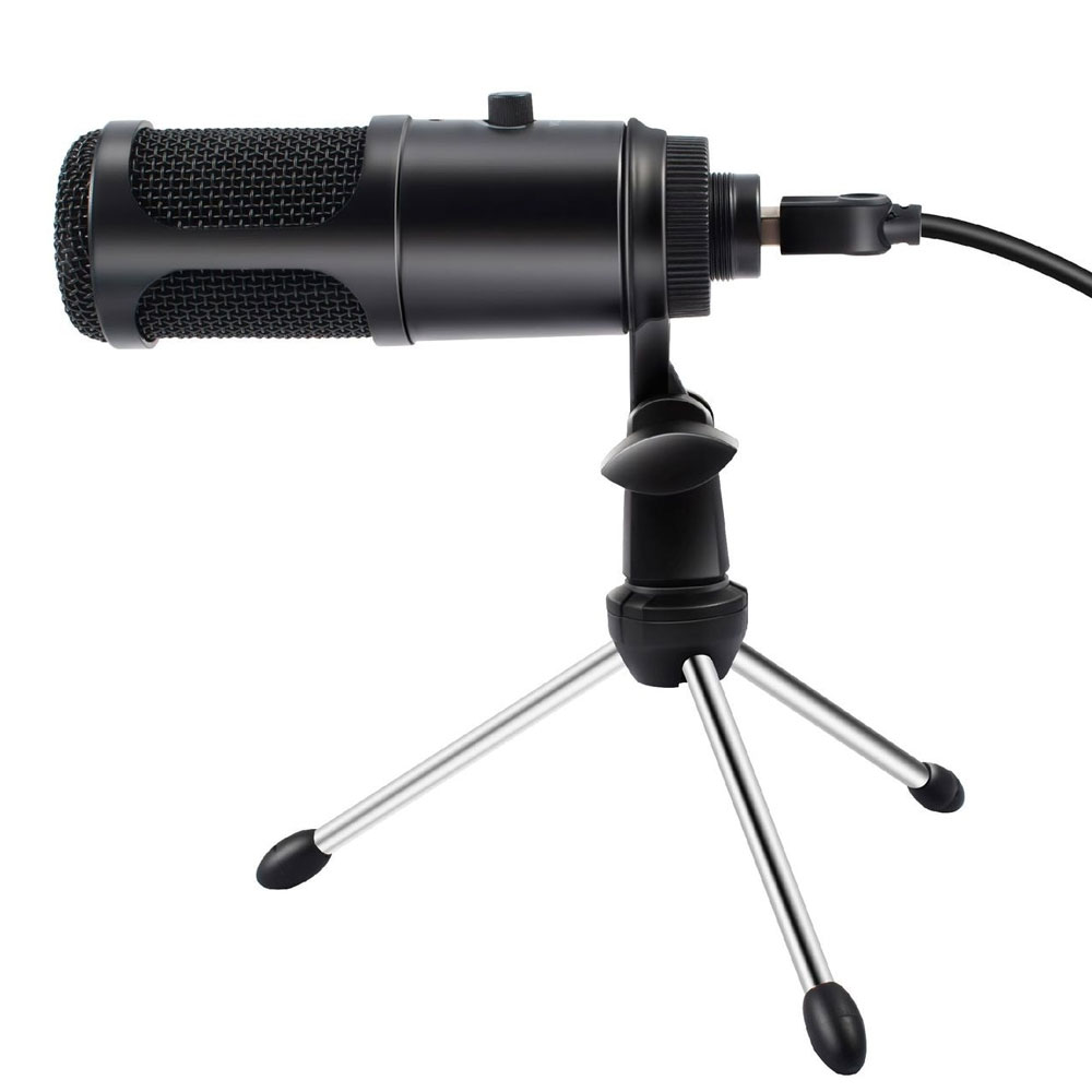 Vivitar-Mic-1.jpeg